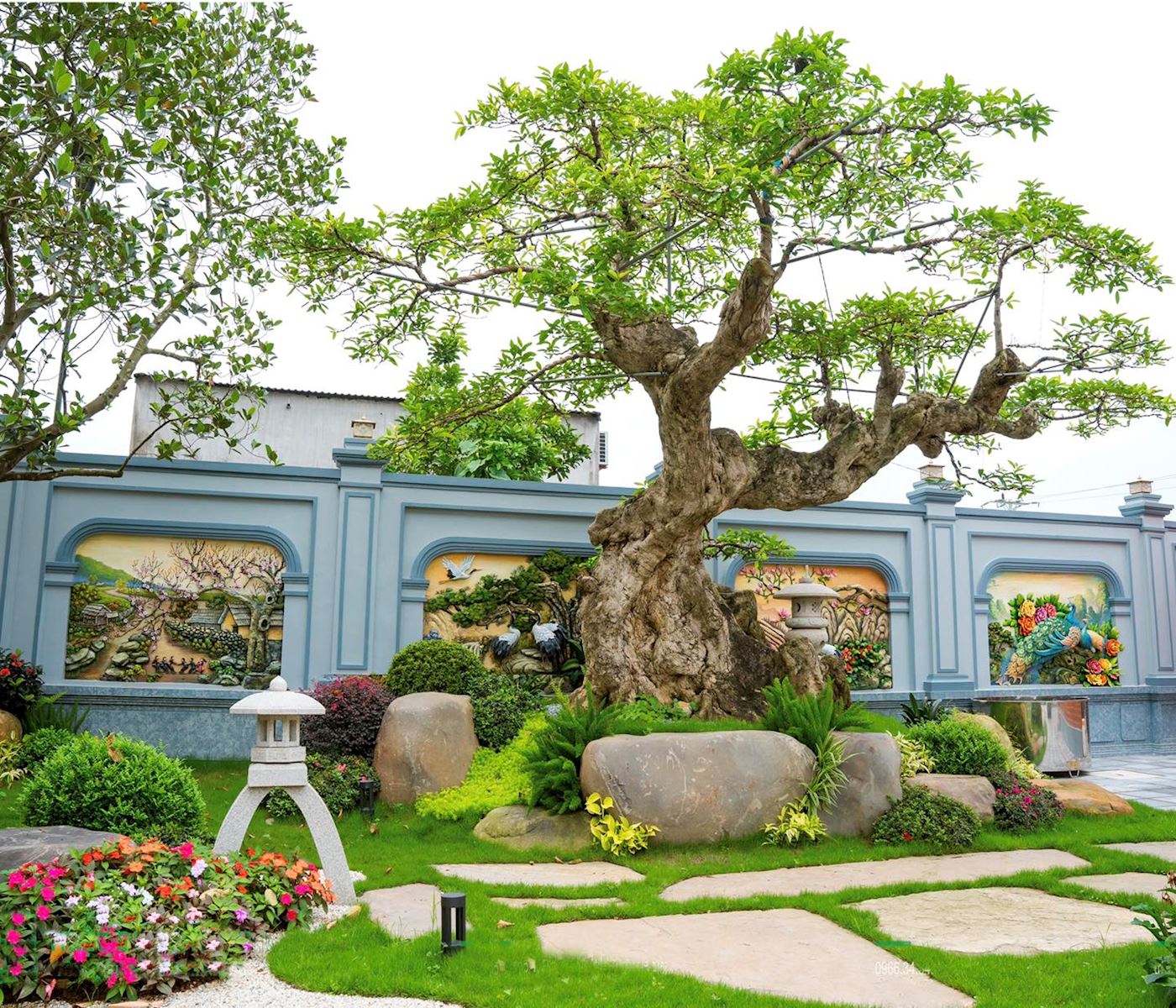 Cây cổ thụ