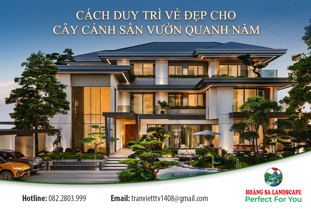 Cách duy trì vẻ đẹp cho cây cảnh sân vườn quanh năm