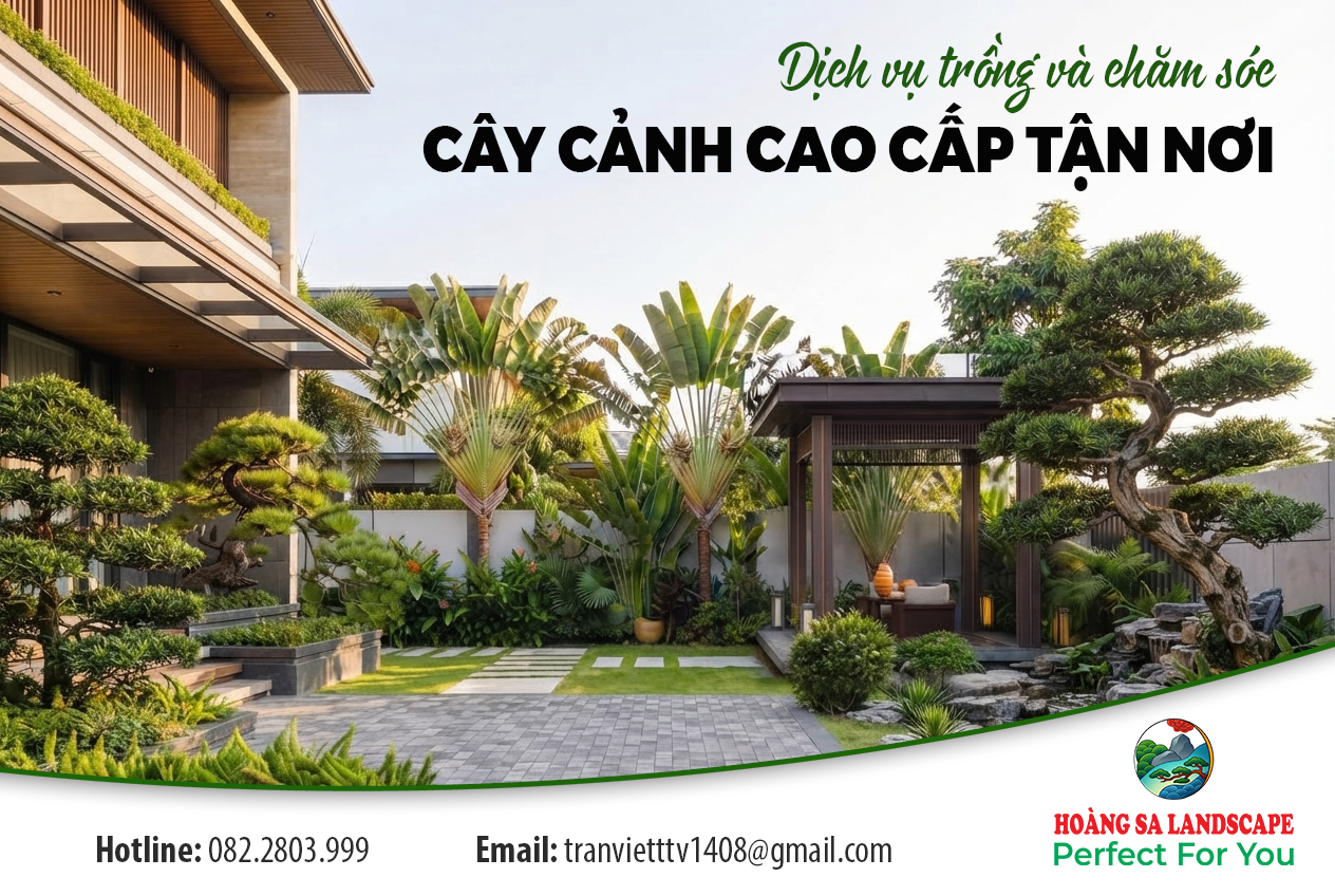 Dịch vụ trồng và chăm sóc cây cảnh cao cấp tận nơi