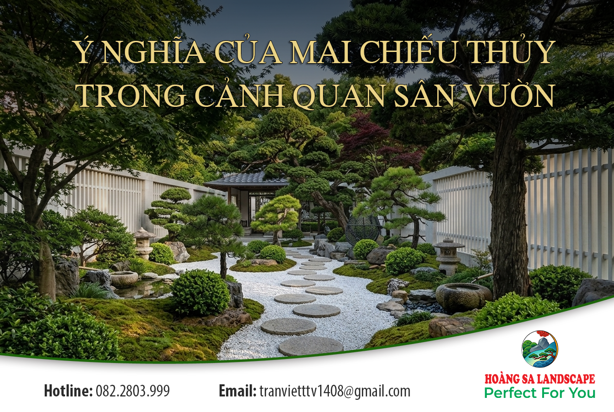Ý nghĩa của mai chiếu thủy trong cảnh quan sân vườn