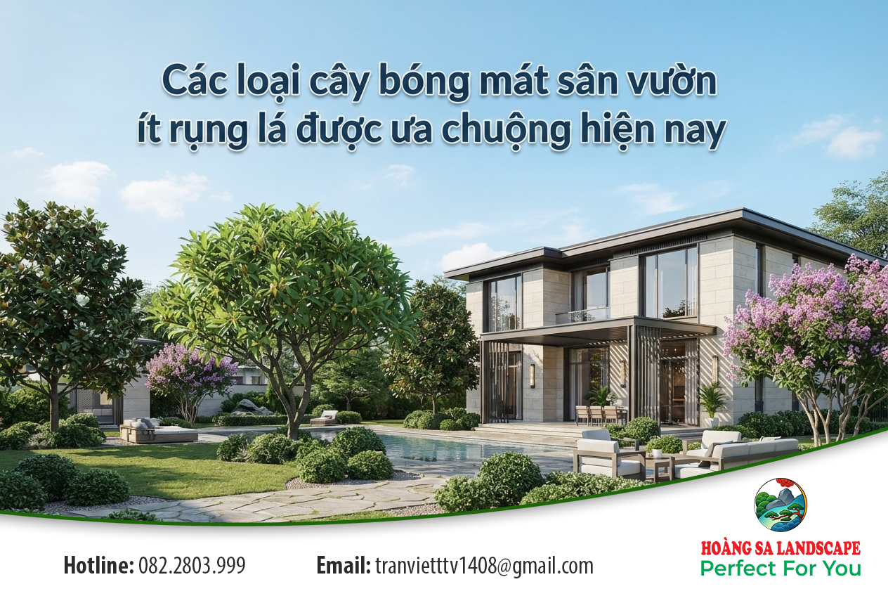 Các loại cây bóng mát sân vườn ít rụng lá được ưa chuộng hiện nay