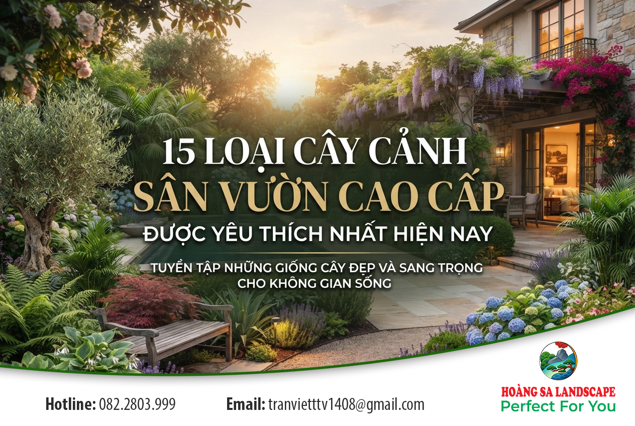 15 loại cây cảnh sân vườn cao cấp được yêu thích nhất hiện nay