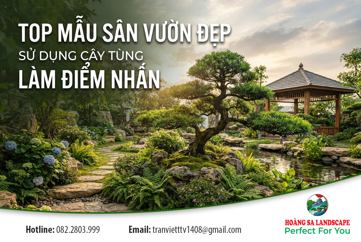Top mẫu sân vườn đẹp sử dụng cây tùng làm điểm nhấn
